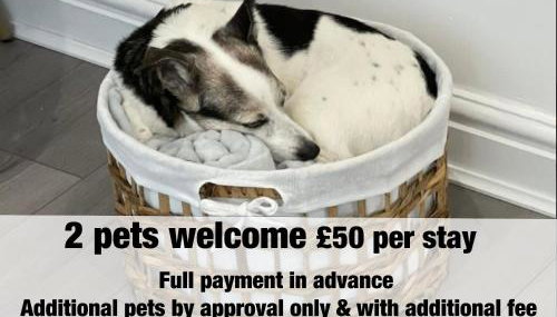 AMBER Delightful Suite Moseley Mews, Birmingham By STAE-Homes - Foto 4, pet friendly