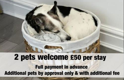 The SPACE Large House In Afan Forest Bike Park By STAE-Homes - Photo 8