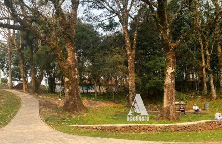 Conforto e Tranquilidade em Gramado - grmeve28 - Foto 32