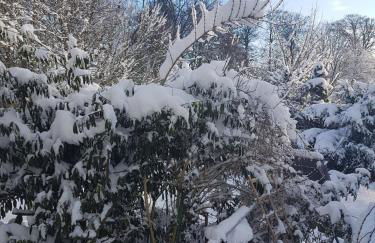 Borstel - Alte Schmiede - Foto 12