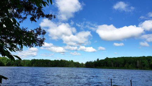 Ethel's Cottage - Foto 5