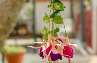 Algés Village Casa 2 by Lisbon-Coast vacation - Foto 27