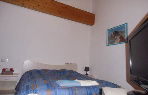 Agriturismo il Podere Vedelago con San Bernardo, Alpaca e una Pentola di cose da scoprire - Foto 46