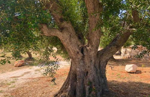 DIMORA DONNA CARMELA - Foto 38