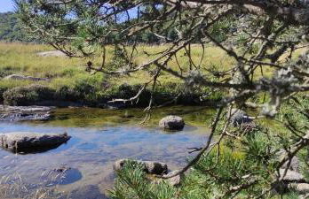 Grande Maison Jardin Cours centre Ville Florac - Foto 19