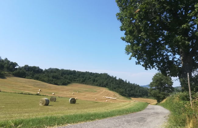 La Cartiera dei Benandanti - Foto 63