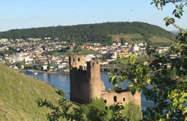 Rüdesheimer Wohlfühloase - Foto 21