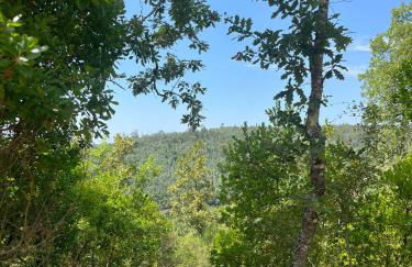 Quinta dos Lagares - Foto 12