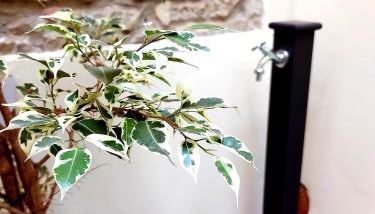 Castle Rooms - Foto 3