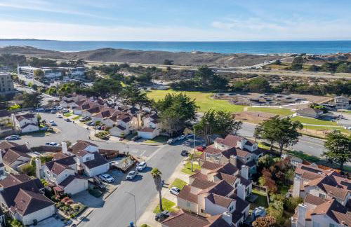 Succulents and Seashells - Coastal Paradise by Beach - Foto 66