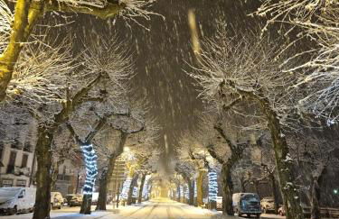 mcastet, casita aranesa en el valle de aran - Foto 47