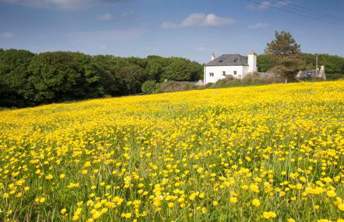 Bangeston Farmhouse - Foto 8