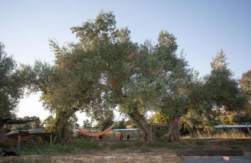 Herdade da Yucca - Retreat & Spa - Foto 75