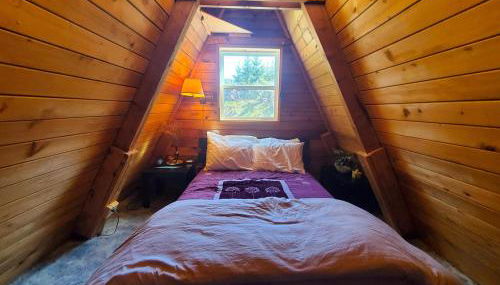 Douglas Island A-frame Cabin in the woods - Foto 4