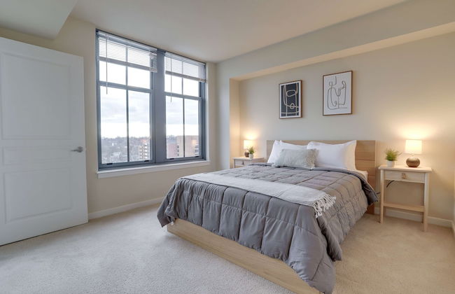 Fantastic 2BR Condo at Pentagon City - Photo 8