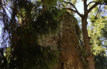 Ferienhaus Am Kirchberg - Foto 25