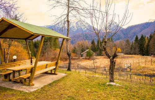 Chalet Relax Tra Le Vigne - Foto 45