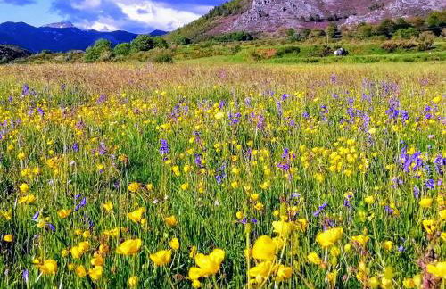 La Morada de Vadinia - Foto 35