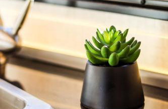 Navi- HUGE yard- MEGA playset- CUTE RV - Foto 37