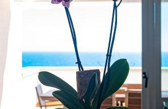 WONDERFUL Beach Apartment in Paradise - Foto 19