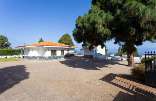 Finca La Vizcondesa - Foto 12