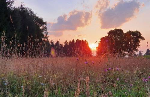 at the Seehotel Hartung - Foto 38