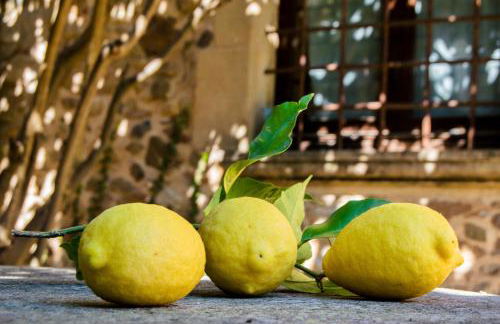 Turisme Rural - Mas Vilà - Monells - Foto 50