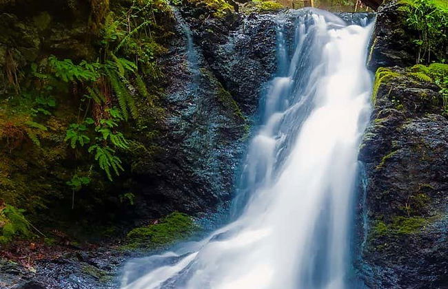 Caracas, Pelton & Santuario Waterfalls Tour - Photo 3