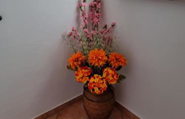 Apartments Katarina - Foto 8