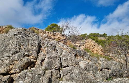 Cortijo Castillo de peñafleita - Foto 29