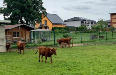 Ferienwohnung zur Dexter-Zucht Coswig (Anhalt) - Foto 12
