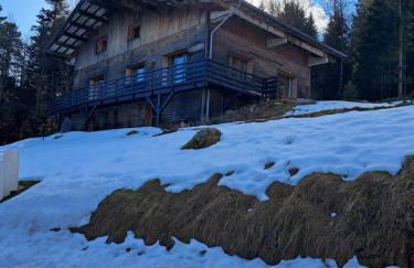 Chalet Le Belvédère, vue exceptionnelle dans les Hautes Vosges - Foto 7
