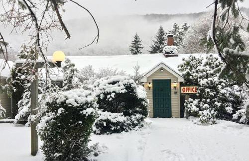 Homey Pet-Friendly Cabin Rental for Groups in the Catskills - Foto 10