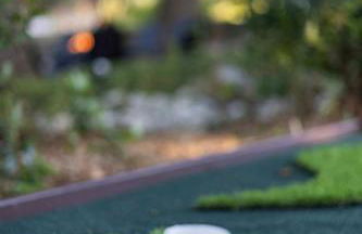 Heated Pool & Spa Mini Golf Bowling Game Room perfect for family - Photo 62