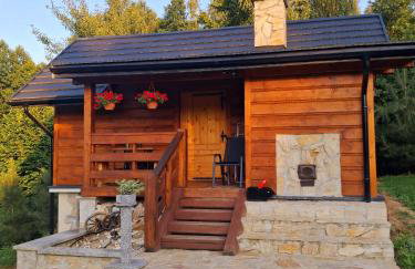 Siedlisko Sielska Dolina Nad Stawem luksusowy domek całoroczny z fińską sauną - Foto 8