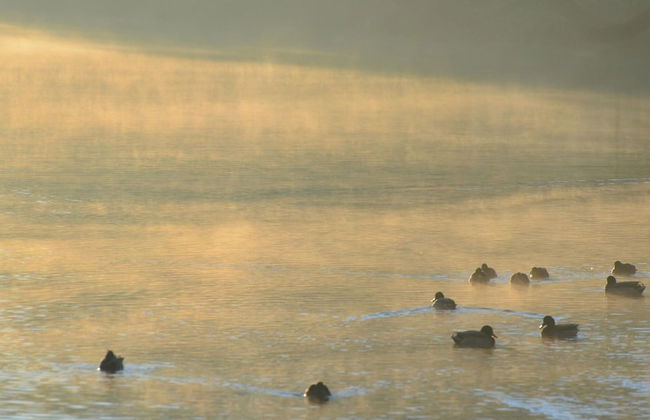 Doppelhaushalfte in Hasselfelde - Foto 16