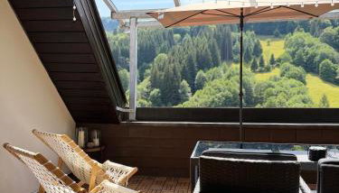 Ferienwohnung mit Ausblick Dachterrasse ideal für Paare und Hund direkt am Wanderweg 15 min zum Wasserfall und Hängebrücke - Foto 1