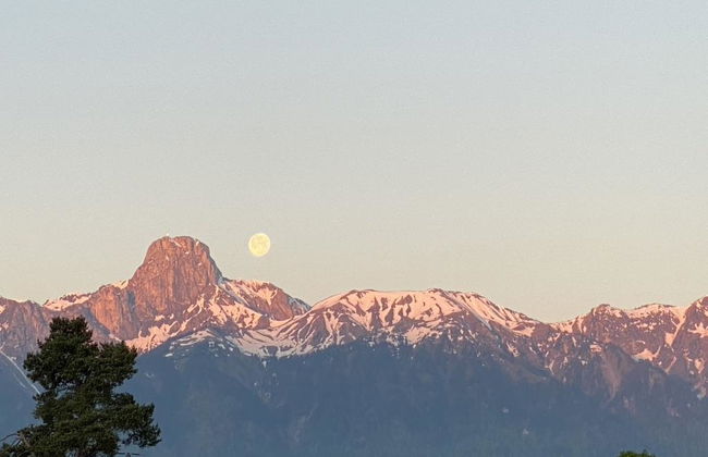 Ferienhaus Oase am Mühlebach - Foto 21