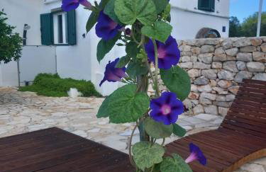 Hvar Mediterranean Ranch House - Foto 15