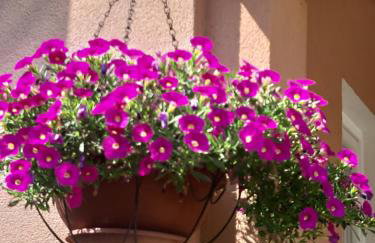 Apartments Dora - Foto 50