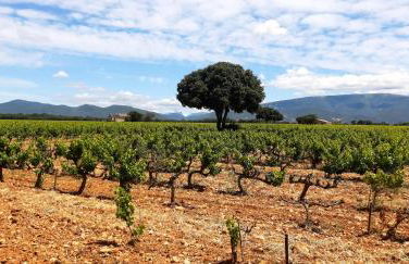 L'Instant Provence - Foto 14