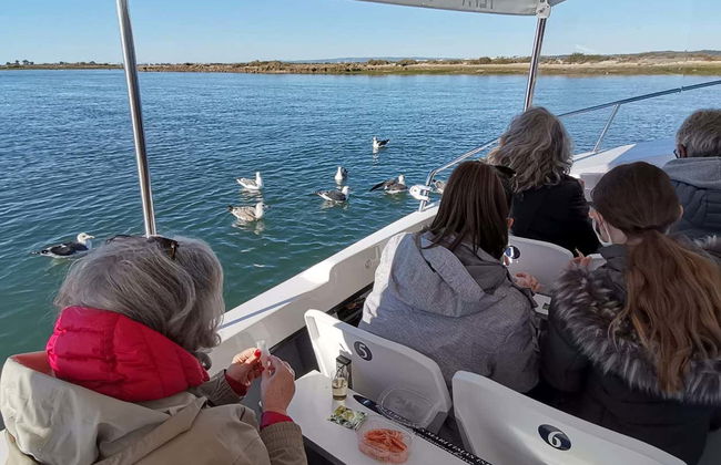 Giro in barca tra le paludi di Isla Cristina e Punta del Moral - Foto 11