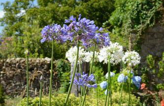 Casa do Caseiro A Costa da Morte - Foto 46