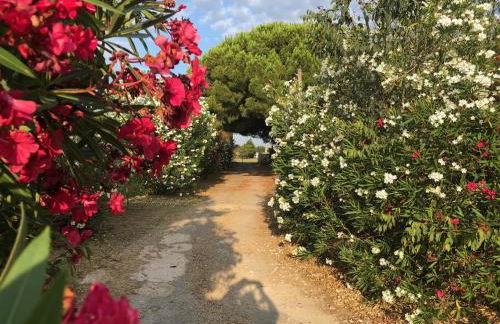 Mas de Plisset - Foto 24