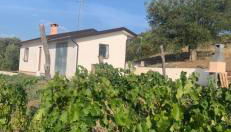 Villa Paradiso - Foto 2