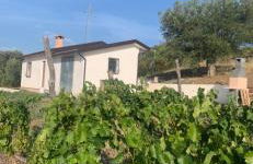 Villa Paradiso - Photo 2