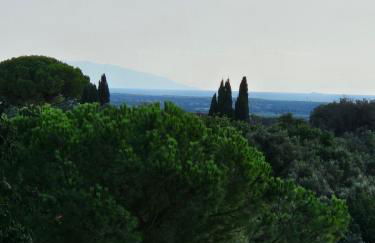 Bolgheri Home - Foto 10