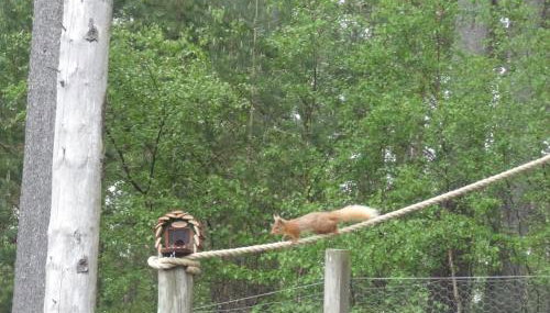 Sawmill Cottage - Foto 3, Garden view