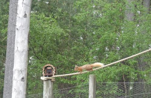 Sawmill Cottage - Foto 3