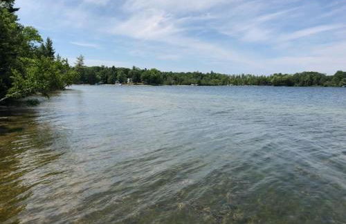 Wild Refuge Lodge - Foto 23